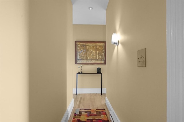 258 Shawmut Ave Unit 8, Boston, MA 02118 - hall featuring wood finished floors and baseboards