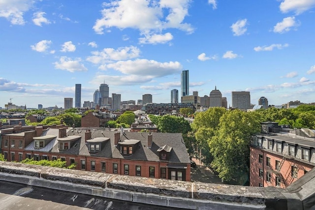 258 Shawmut Ave Unit 8, Boston, MA 02118 - view of city skyline
