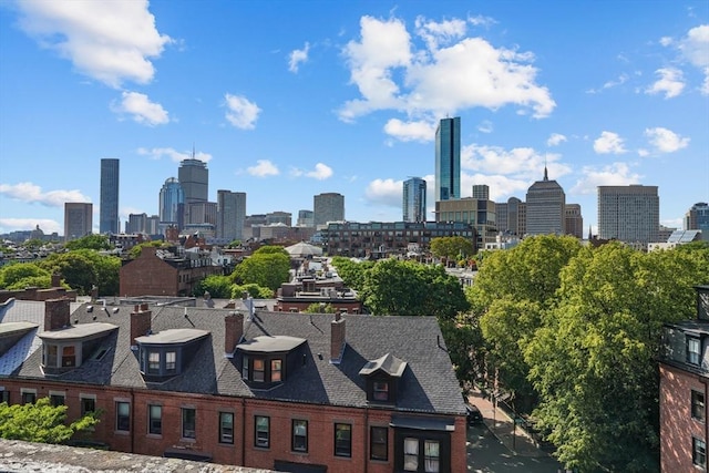 258 Shawmut Ave Unit 8, Boston, MA 02118 - view of city skyline
