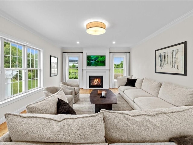 10 Beech St, Millis, MA 02054 - living area with ornamental molding, plenty of natural light, wood finished floors, baseboards, and a glass covered fireplace
