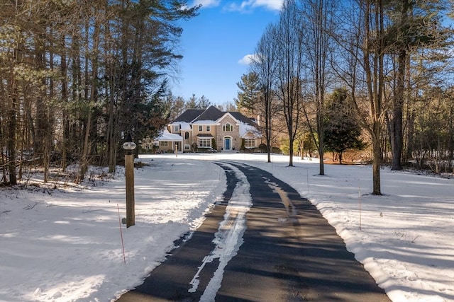 view of street with aphalt driveway