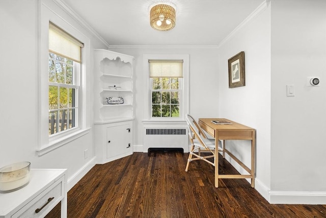 interior space featuring ornamental molding, a wealth of natural light, radiator, and wood finished floors