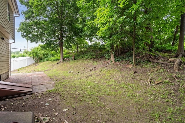 212 Fountain St Unit A, Framingham, MA 01702 - view of yard