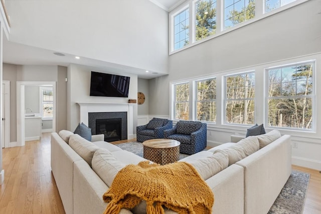 living room featuring a high ceiling and light wood-type flooring