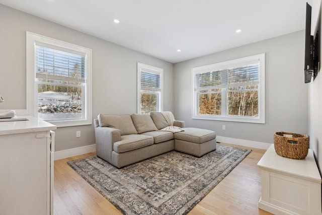 living room featuring light hardwood / wood-style flooring