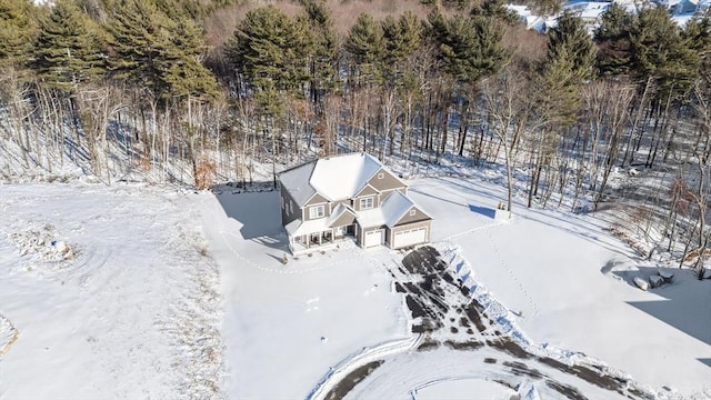 view of snowy aerial view