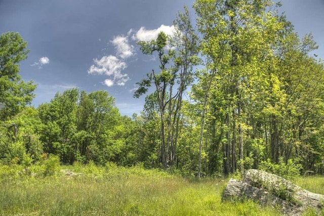 view of local wilderness