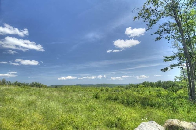 view of landscape