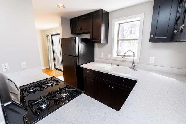 kitchen with a sink, plenty of natural light, gas stove, and freestanding refrigerator