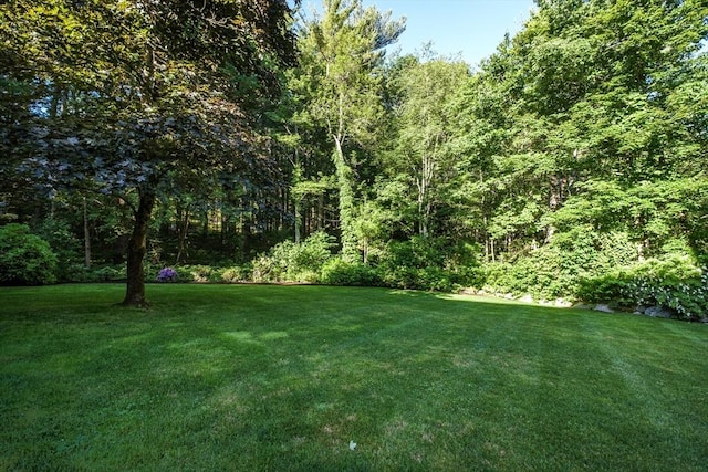 56 Cart Path Rd, Weston, MA 02493 - view of grassy yard with a wooded view