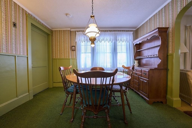 carpeted dining room with crown molding and a textured ceiling