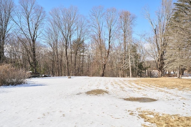 view of snowy yard