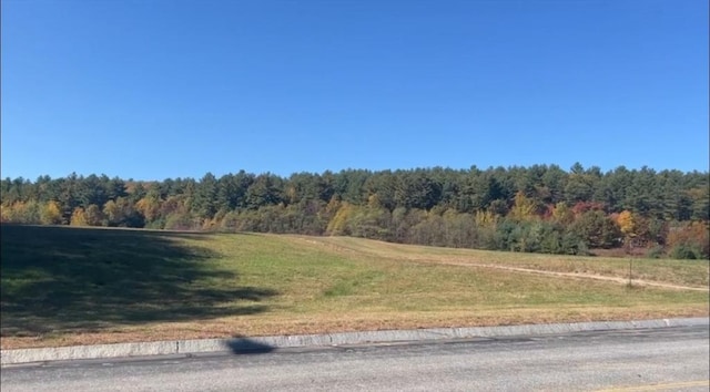 view of road with a view of trees