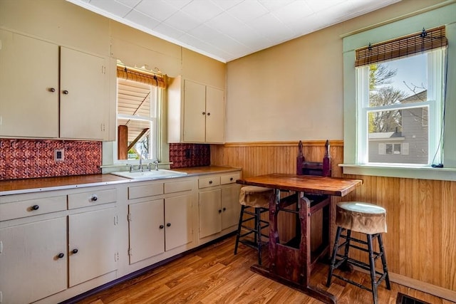 101 Euclid St, Gardner, MA 01440 - kitchen with a sink, light wood-type flooring, healthy amount of natural light, a wainscoted wall, and ornamental molding