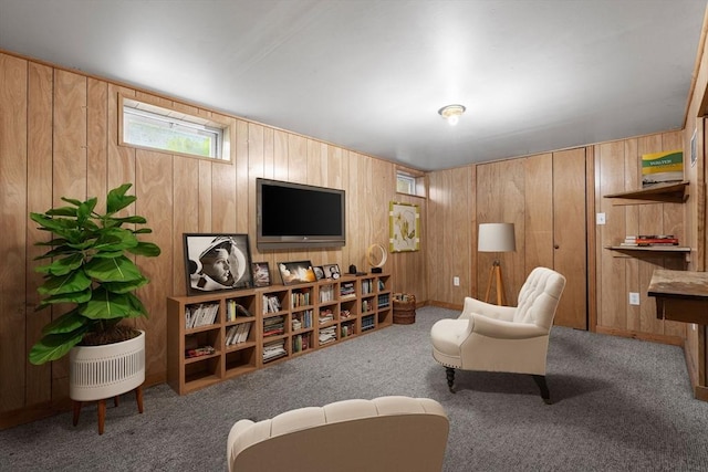 464 Ralph Talbot St, Weymouth, MA 02190 - sitting room with wooden walls and carpet