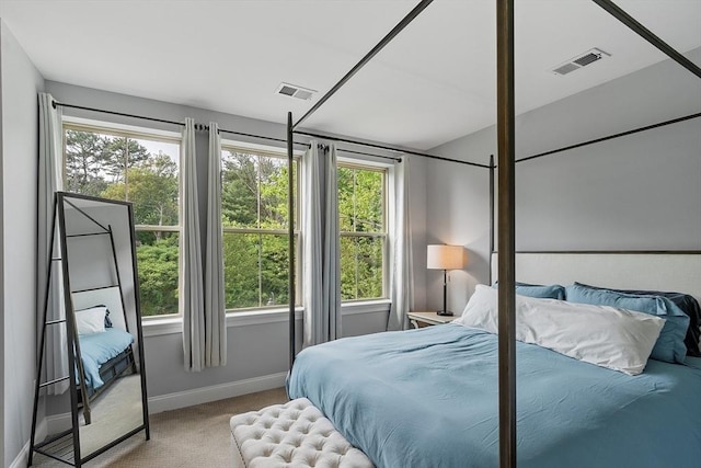4 Harvest Dr Unit 225, North Andover, MA 01845 - bedroom with carpet and baseboards