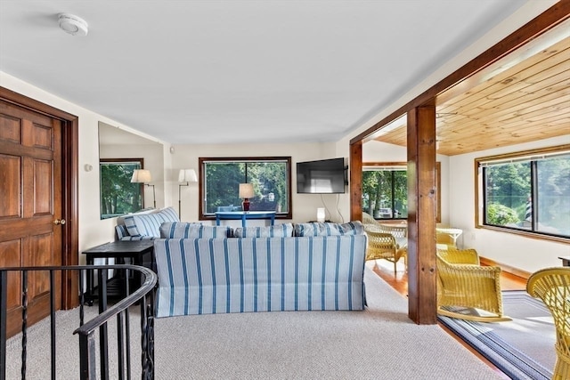 view of carpeted living room