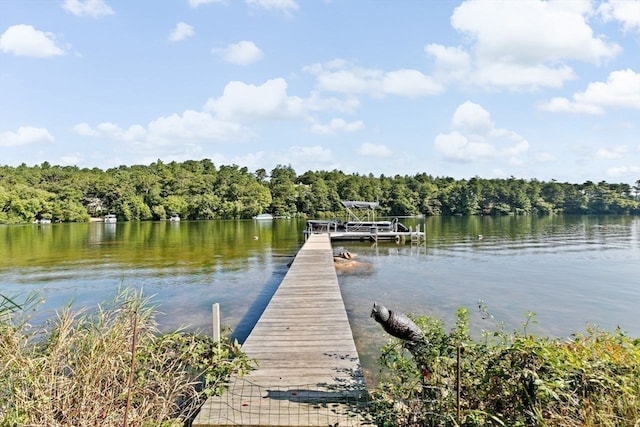 dock area with a water view