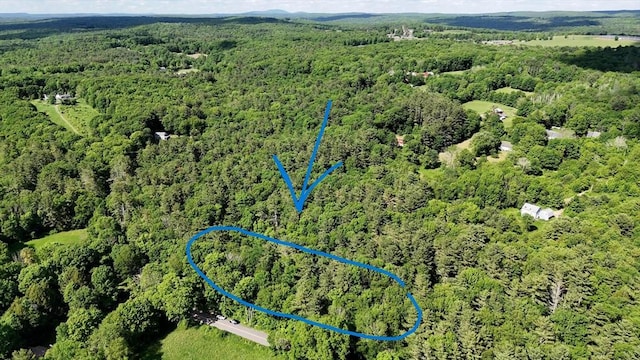 0 Brooks Pond Rd, Small Parcel Spencer, MA 01562