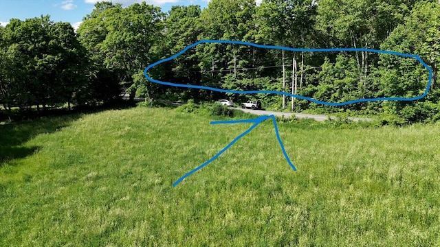 0 Brooks Pond Rd, Small Parcel Spencer, MA 01562