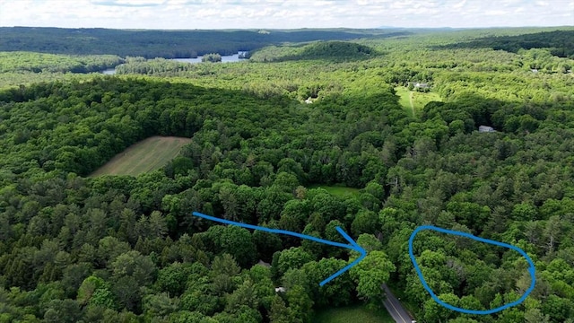 0 Brooks Pond Rd, Small Parcel Spencer, MA 01562