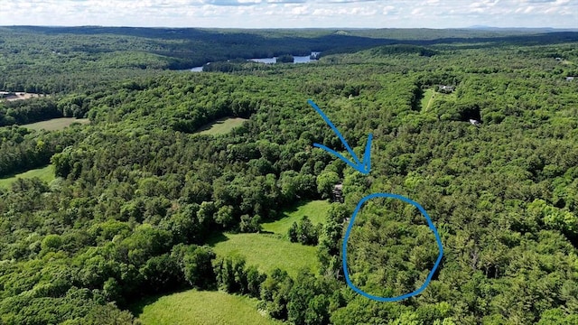 0 Brooks Pond Rd, Small Parcel Spencer, MA 01562