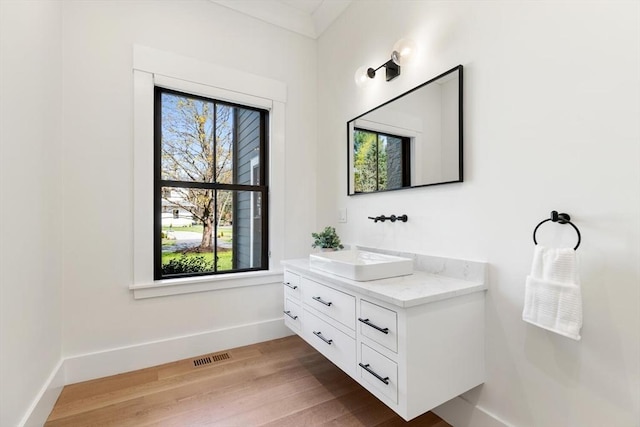 7 Fulton Rd, Lexington, MA 02420 - bathroom with baseboards, plenty of natural light, vanity, and visible vents
