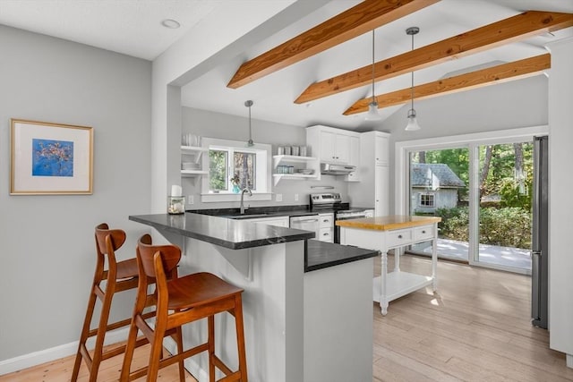 kitchen with open shelves, under cabinet range hood, stainless steel appliances, a peninsula, and white cabinetry