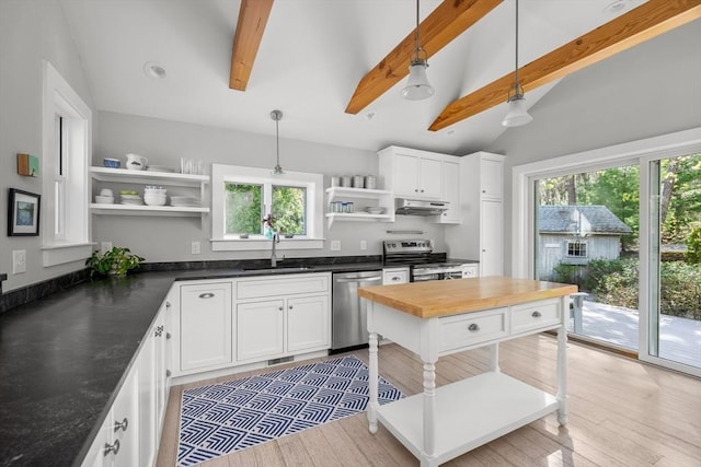 kitchen featuring appliances with stainless steel finishes, open shelves, a sink, under cabinet range hood, and plenty of natural light