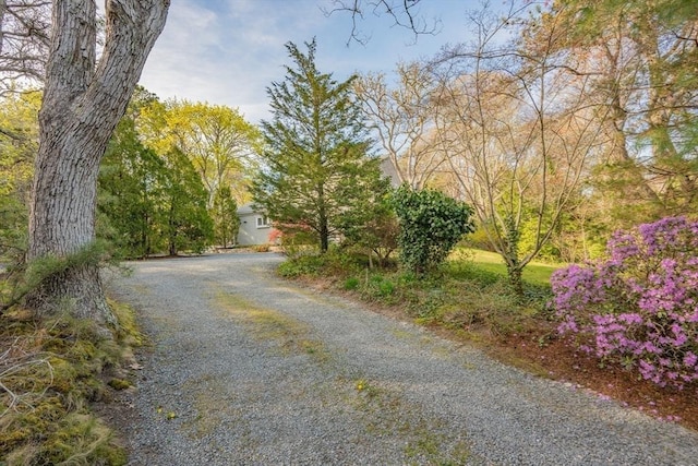 view of dirt / gravel road