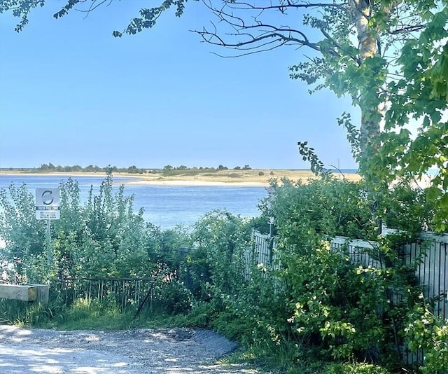 water view featuring fence