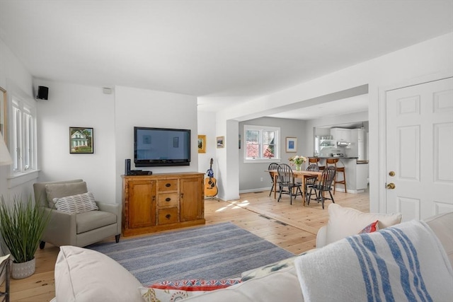 living room with light wood-style floors