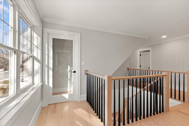 corridor featuring light hardwood / wood-style floors, vaulted ceiling, crown molding, and plenty of natural light