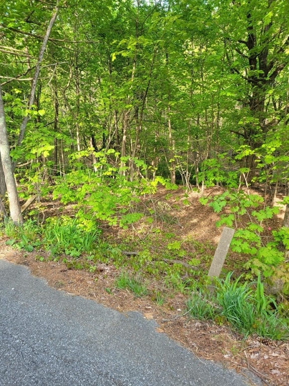 8 Wilson St, Spencer MA, 01562 land for sale