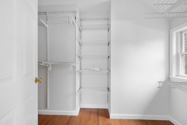 spacious closet featuring wood finished floors