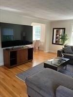 living room featuring hardwood / wood-style flooring