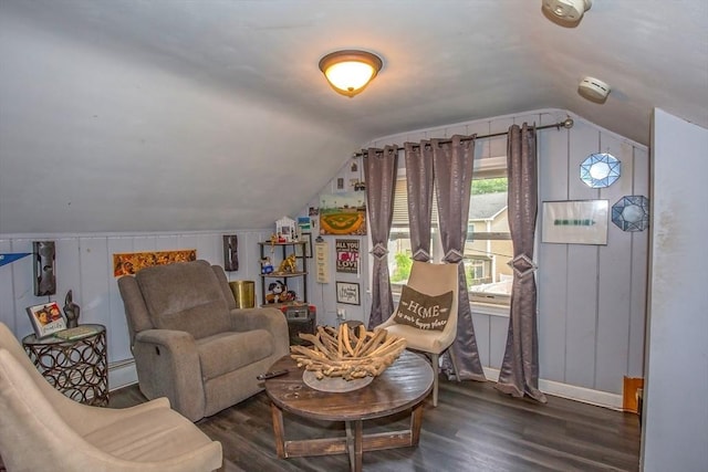 37 Border St, Springfield, MA 01104 - living area featuring vaulted ceiling and wood finished floors