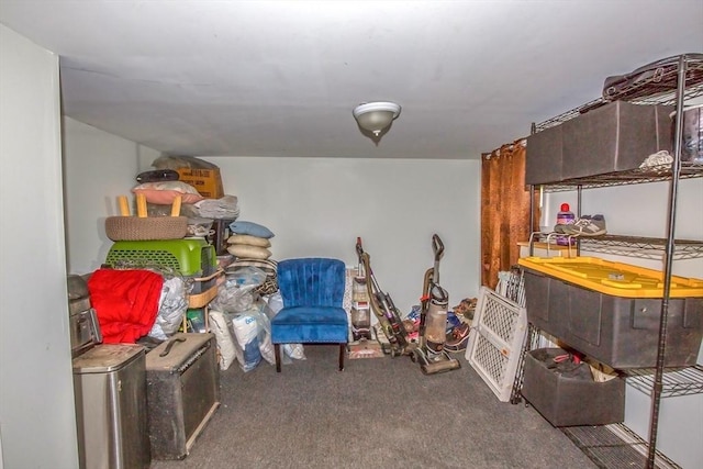 37 Border St, Springfield, MA 01104 - view of storage area