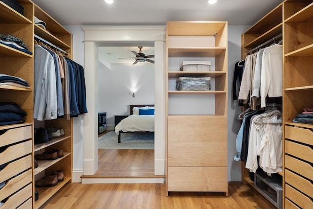 19 Woodbine St Unit B, Newton, MA 02466 - spacious closet featuring a ceiling fan and wood finished floors