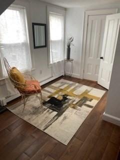 living area featuring dark wood-type flooring