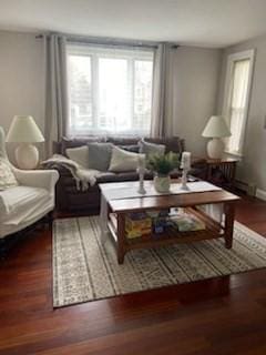 living room featuring wood-type flooring