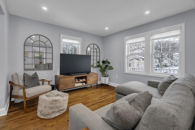 living room featuring wood-type flooring and a wealth of natural light