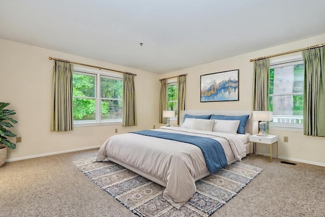 501 Lexington St Unit 105, Waltham, MA 02452 - carpeted bedroom with baseboards
