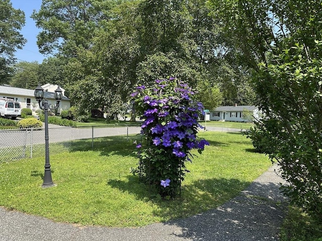 47 Mayfair St, East Longmeadow, MA 01028 - view of yard