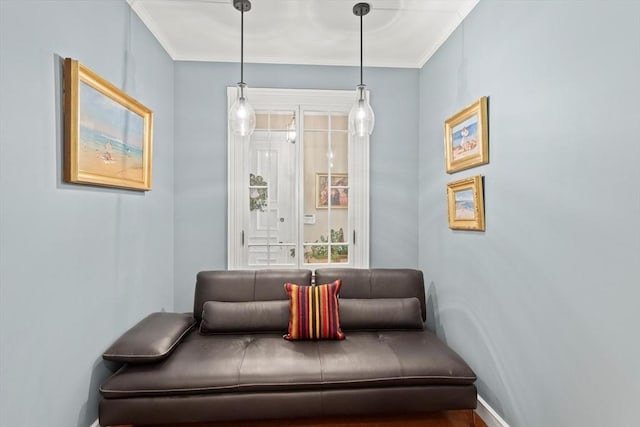 living area with ornamental molding
