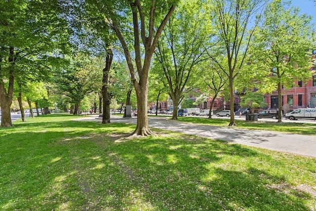 view of green lawn
