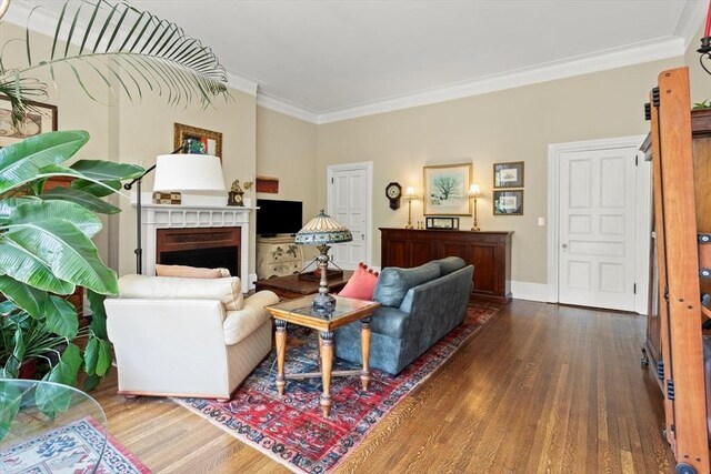 living area with wood finished floors, ornamental molding, a fireplace, and baseboards