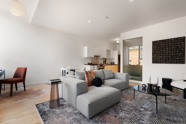 living room featuring light hardwood / wood-style floors