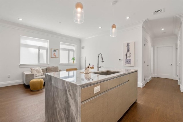 kitchen featuring a kitchen island with sink, ornamental molding, a sink, and wood finished floors