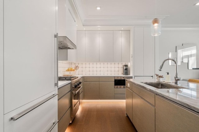 kitchen featuring decorative backsplash, high quality appliances, ventilation hood, crown molding, and a sink